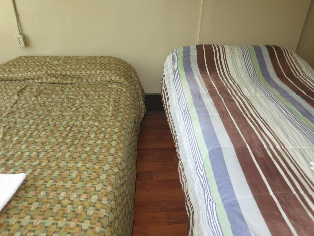 نزل فانكوفرفي C&N Backpackers Central Station الغرفة الصورة